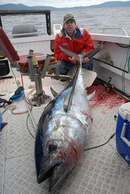 ANGLER: Neil Jones SPECIES: Southern Bluefin Tuna WEIGHT: 100 1kgs LURE: JB Lures, Micro Dingo  Carnival purple head
